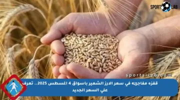 قفزة مفاجئة في سعر الأرز الشعير بأسواق 4 أغسطس 2025.. تعرف على السعر الجديد